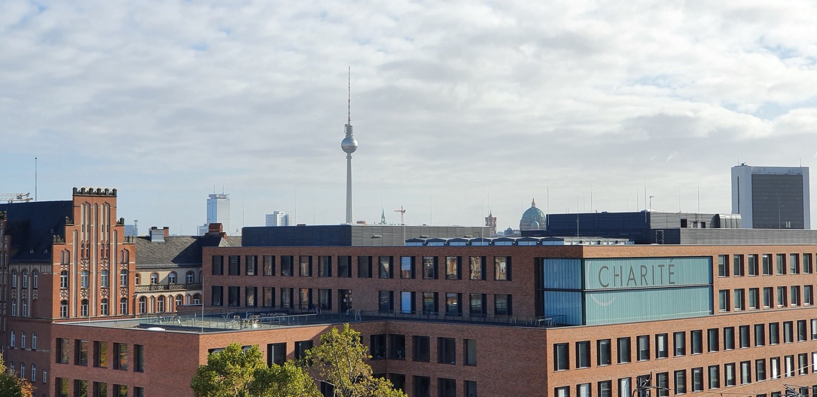 Blick auf die Charité in Berlin mit dem Fernsehturm im Hintergrund
